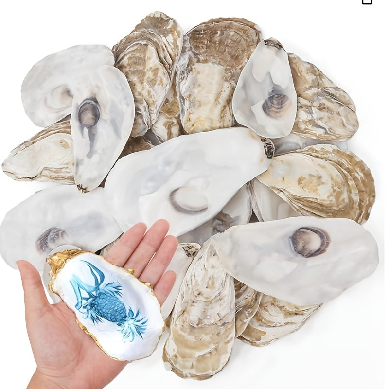 Natural Flat Oyster Shells for Crafts ¨C 17pcs 3-5in Disk Shaped Sea Shells, Vase Filler, DIY Arts & Crafts, Christmas Ornaments, Home Decor, Beach Wedding Decoration