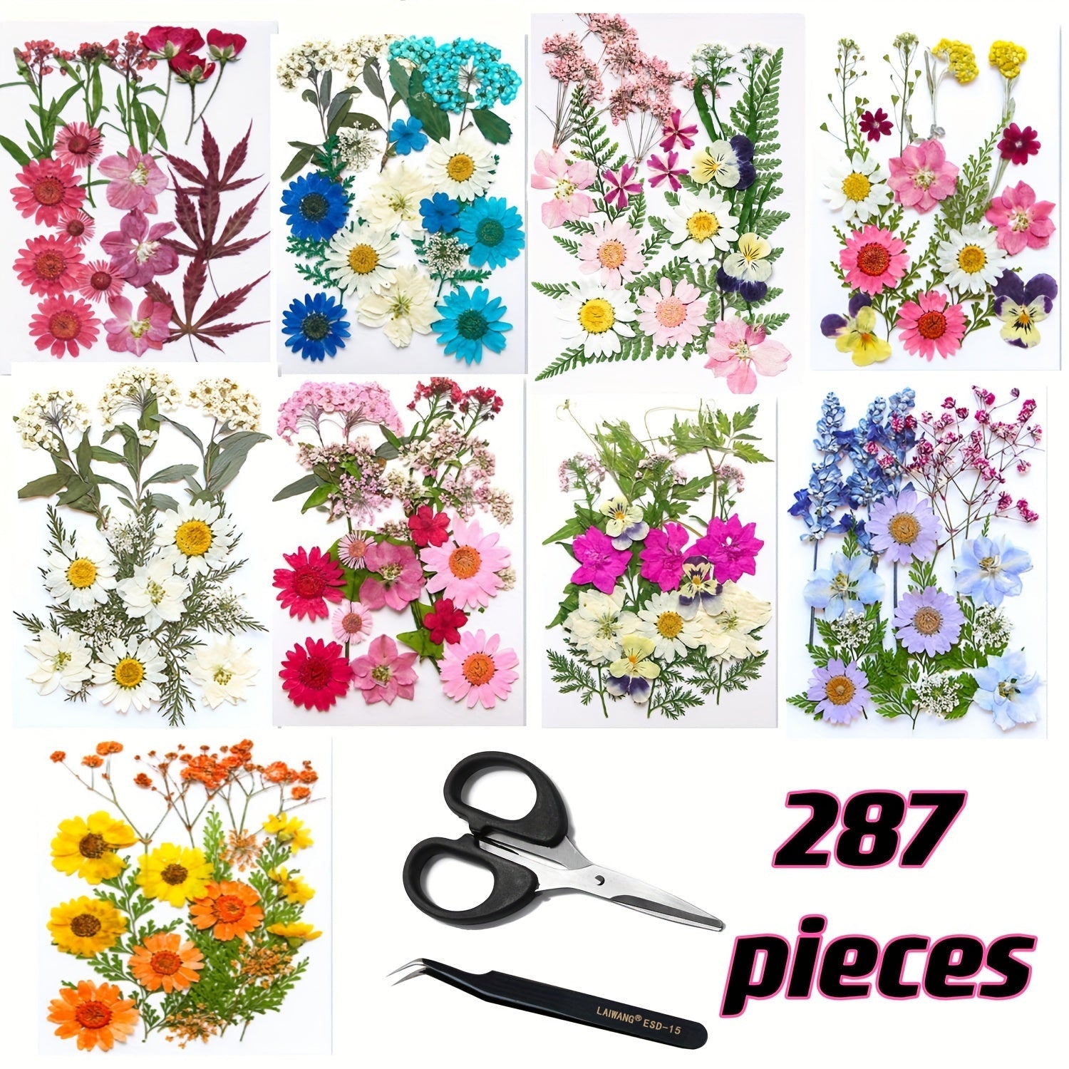Dried Flower Set for Crafts ¨C Real Pressed Flowers for Resin, Scrapbooking, Epoxy Jewelry, Bookmarks, Wedding Cards & Art Decoration, 189 / 238 / 287 / 319 Pieces Mixed Variety Pack