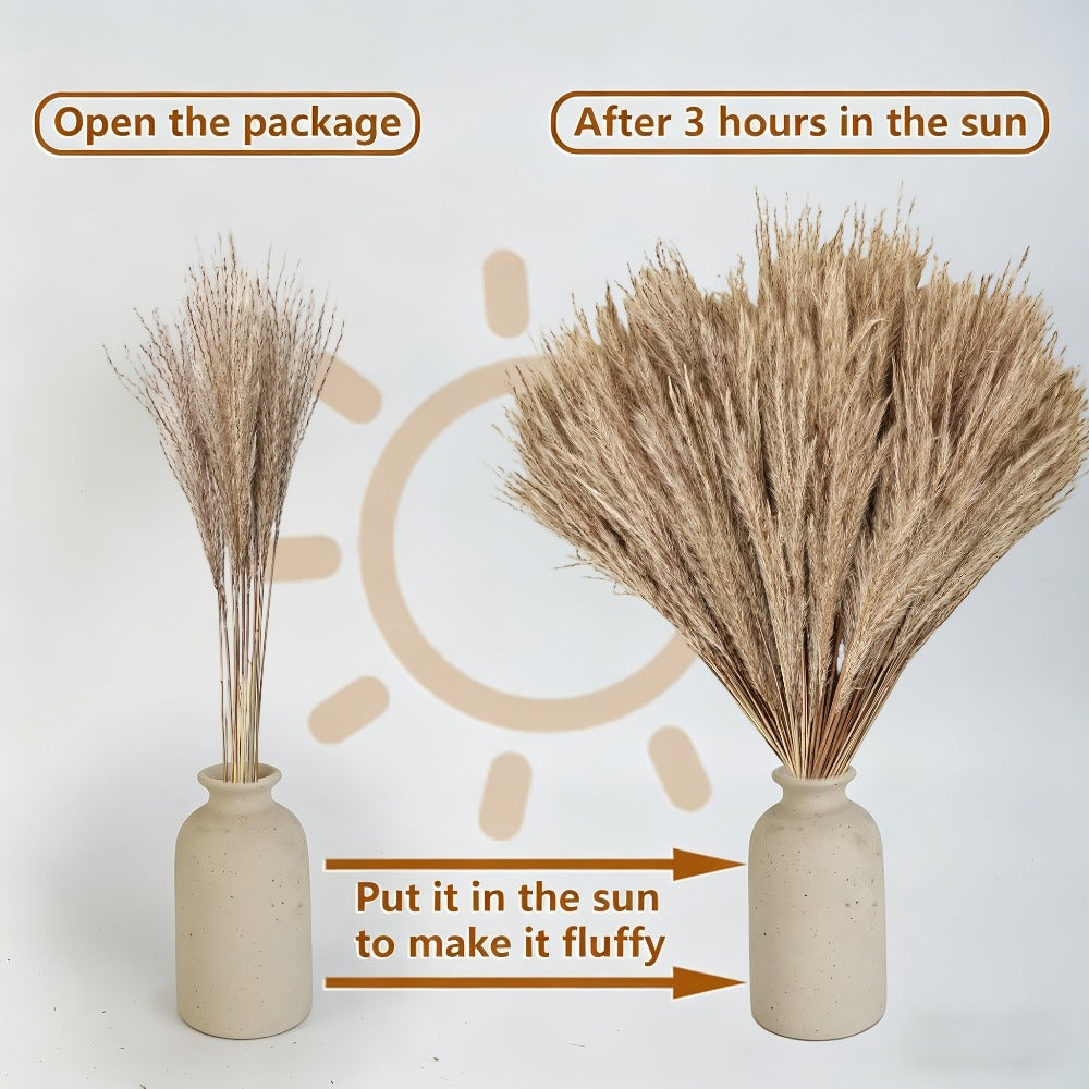 Dried Pampas Grass Decor Bouquet ¨C Natural Fluffy Pampas Stems for Boho Wedding Centerpiece, Living Room Vase Filler, Nursery & Home Decor, Aesthetic Dried Flowers Arrangement, 110 or 300 Pcs