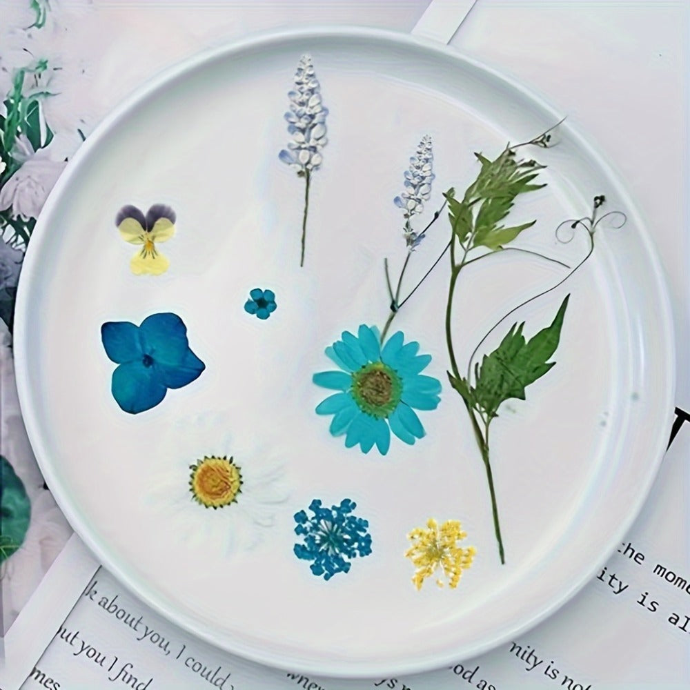 Dried Flower Set for Crafts ¨C Real Pressed Flowers for Resin, Scrapbooking, Epoxy Jewelry, Bookmarks, Wedding Cards & Art Decoration, 189 / 238 / 287 / 319 Pieces Mixed Variety Pack