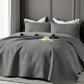 Quilt Coverlet Set 2-3 Piece Lightweight Microfiber Bedspread Coin Pattern Soft Skin-Friendly Anti-Allergy Machine Washable Twin Full Queen King