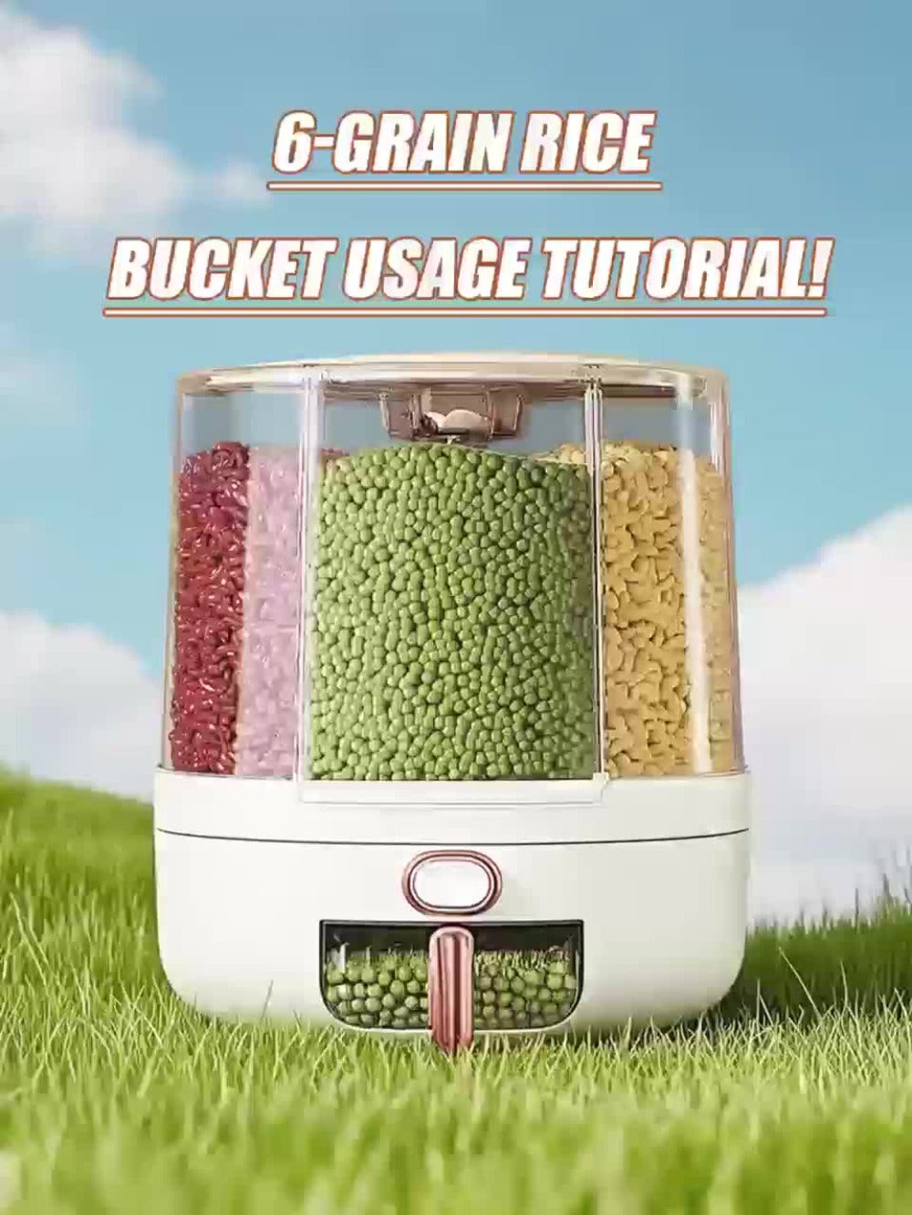 Rice Dispenser 360 Rotating 6 Compartment Grain Storage Container - Airtight Moisture Proof with Transparent Window, Food Grade PP, Large Capacity for Rice Cereal Flour and Pet Food, Medium 13lb or Large 22lb