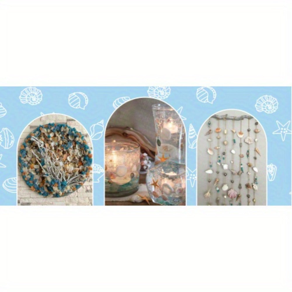 Tiny Seashells Starfish Bulk Set Beach Decor Crafts Vase Filler