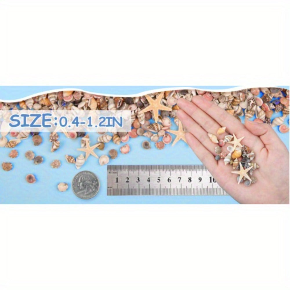 Tiny Seashells Starfish Bulk Set Beach Decor Crafts Vase Filler