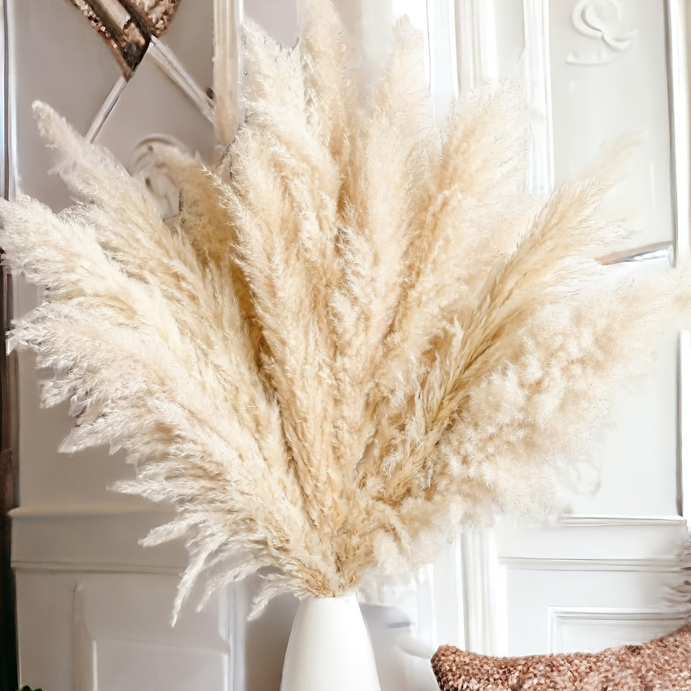 Natural Pampas Grass Decor 40 Inch Tall Dried Pampas Grass Stems for Vase Wedding Boho Farmhouse Home Decor Living Room Floor Arrangement