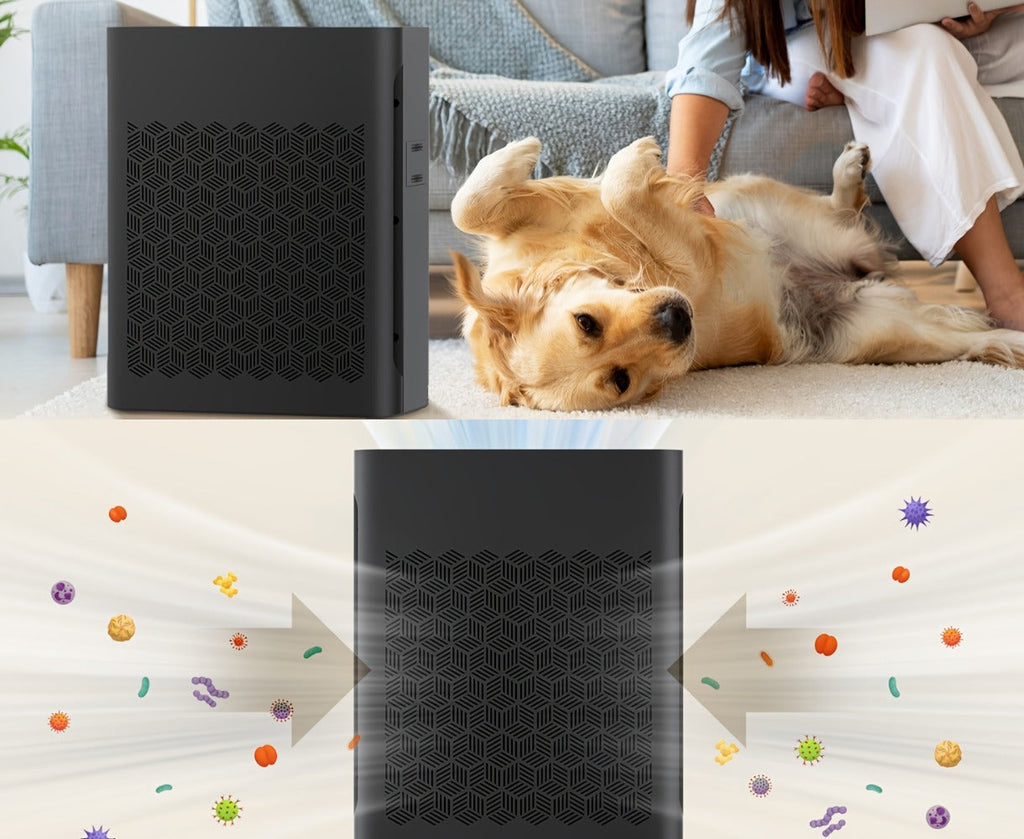 Air Purifier for Large Room with PM2.5 Display Auto Mode Timer HEPA Filter Removes Dust Smoke Pollen Odor for Home Office Living Room Bedroom