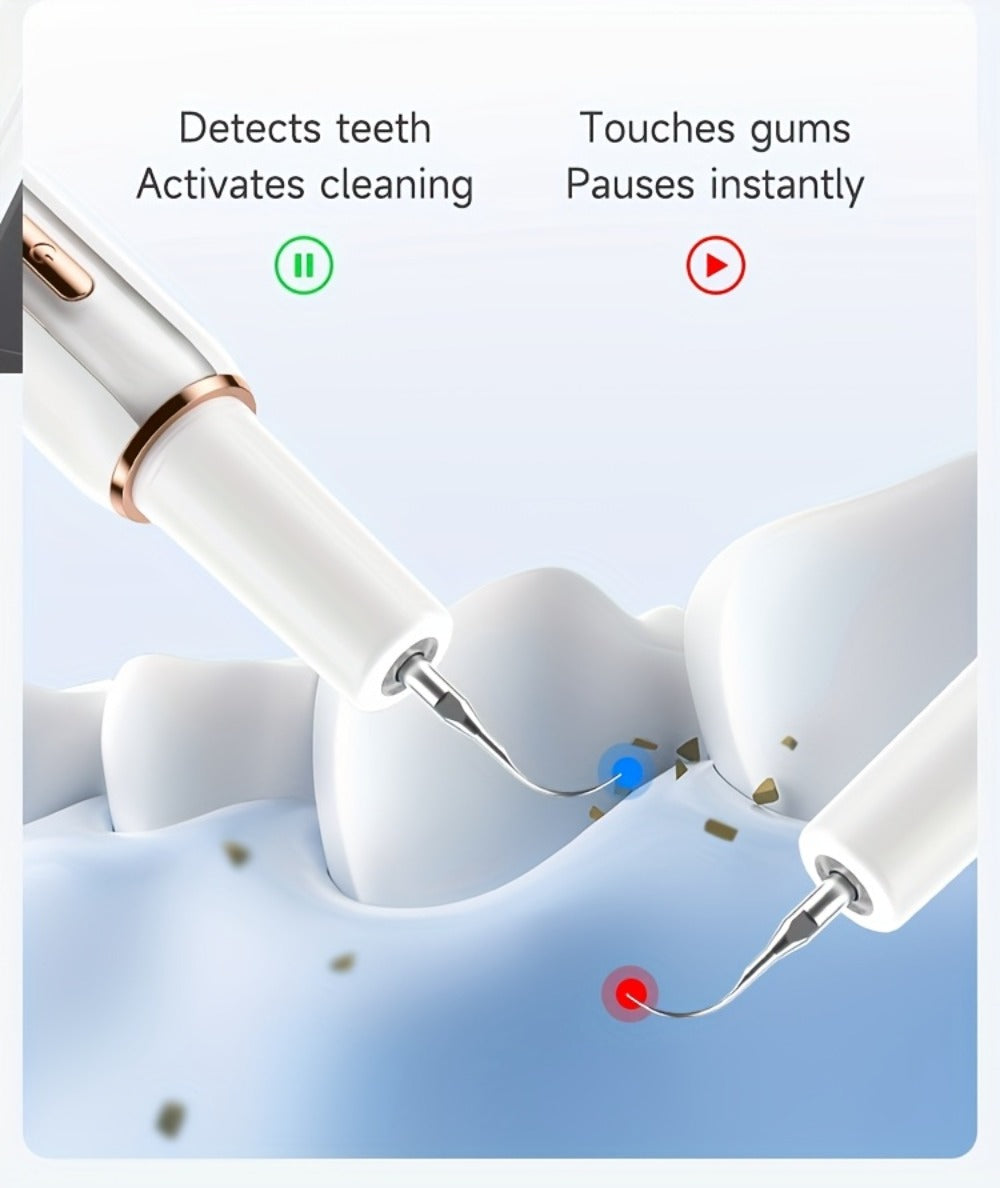 Interdental Plaque Remover with LED Light ¨C Electric Teeth Cleaner, 5 Cleaning Modes, 2 Replacement Heads, Oral Irrigator-Like Function, No Water Required, Dental Care for Travel & Home Use