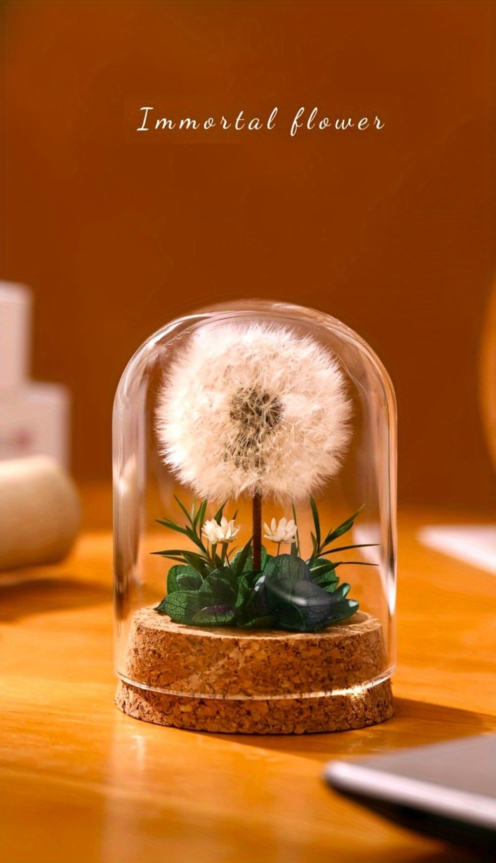 Glass Dome Preserved Dandelion Flower Arrangement - Eternal Floral Keepsake Display Case for Home Office Desk Decor, No Electricity Needed
