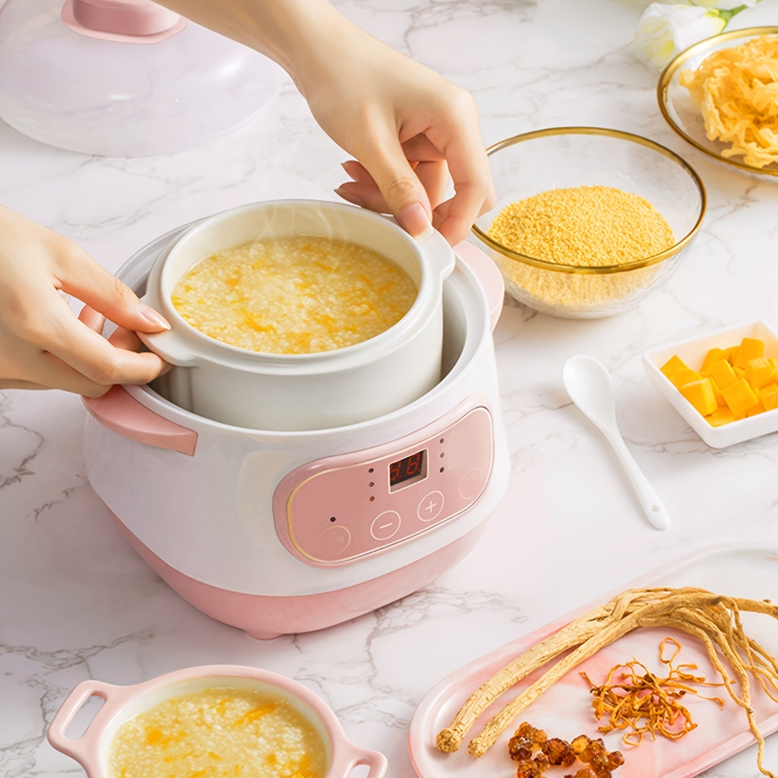 Electric Ceramic Stew Pot 1L 200W Anti Dry Burn 24H Intelligent Reservation Slow Cooker for Porridge Rice Soup Congee Small Family Individual Use