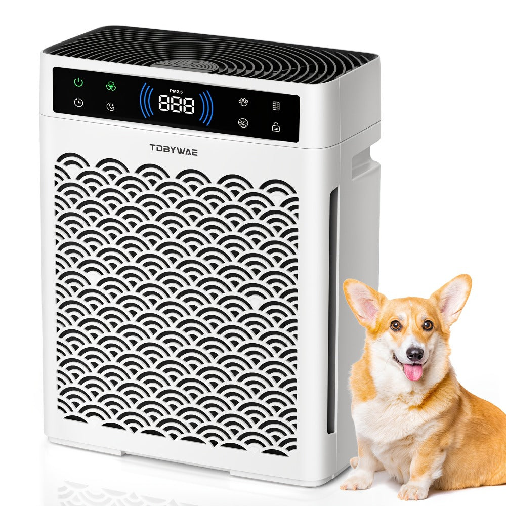 HEPA Air Purifier for Large Rooms Up to 3000 Sq Ft ¨C True HEPA Filter, Activated Carbon, Double-Sided Intake, Removes Dust, Pet Dander, Smoke & Odors, Sleep Mode 22dB, Aromatherapy, 19Hr Timer