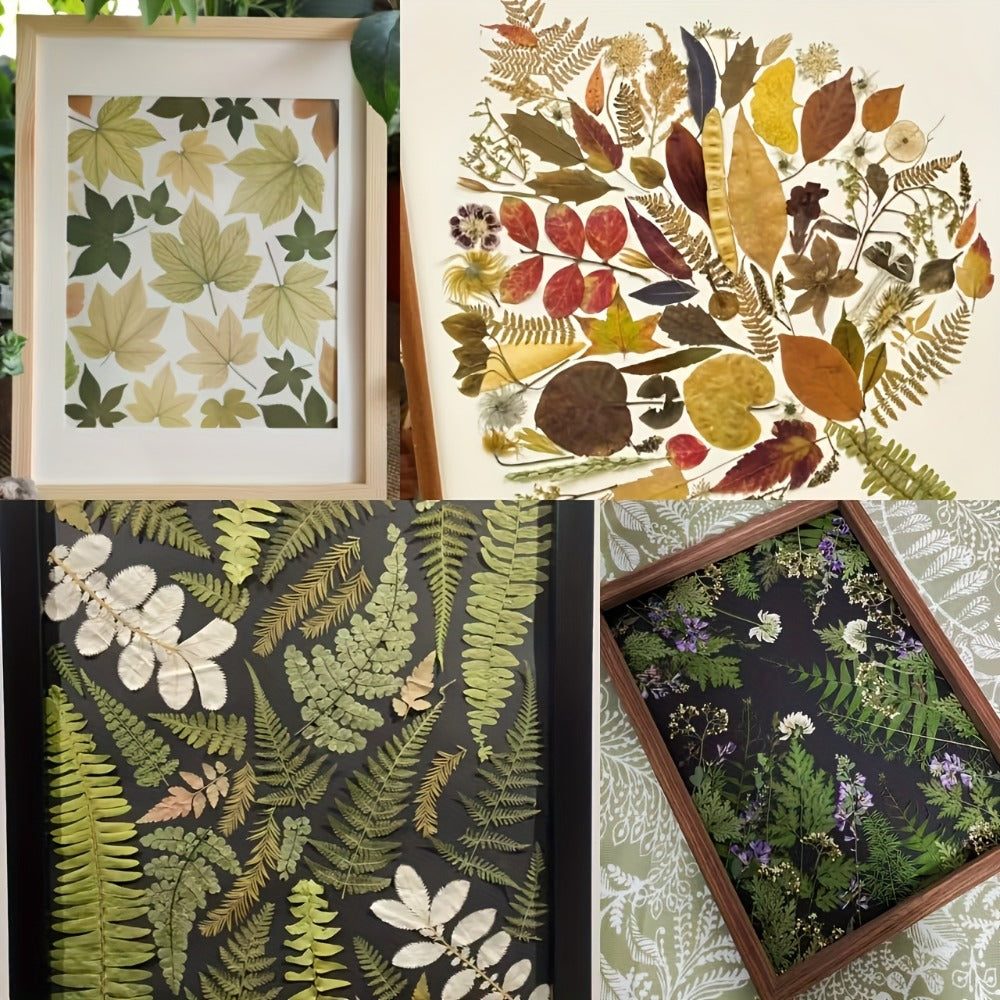 Dried Flower Material Pack 120pcs, Real Pressed Dried Flowers and Leaves for DIY Resin Phone Case Coaster Photo Frame Bookmark Greeting Card Candle Making Jewelry Craft Supplies