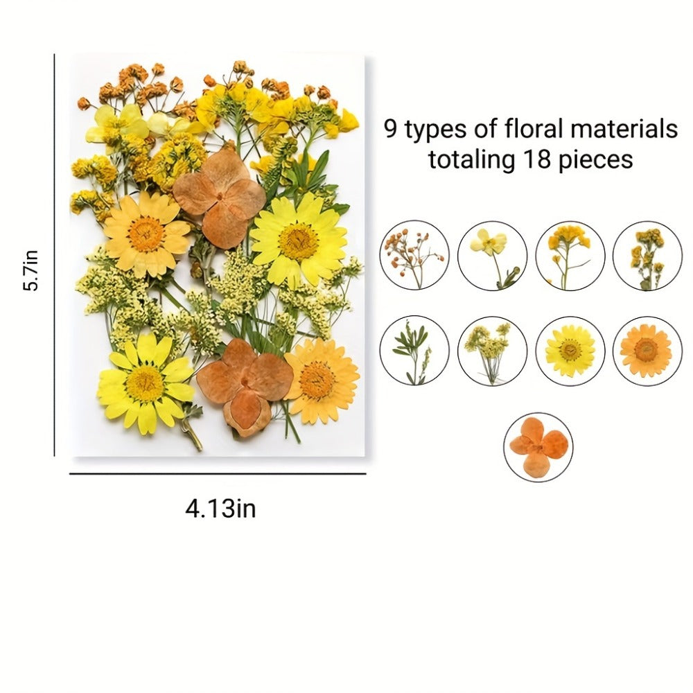 Dried Flower Set for Crafts ¨C Real Pressed Flowers for Resin, Scrapbooking, Epoxy Jewelry, Bookmarks, Wedding Cards & Art Decoration, 189 / 238 / 287 / 319 Pieces Mixed Variety Pack