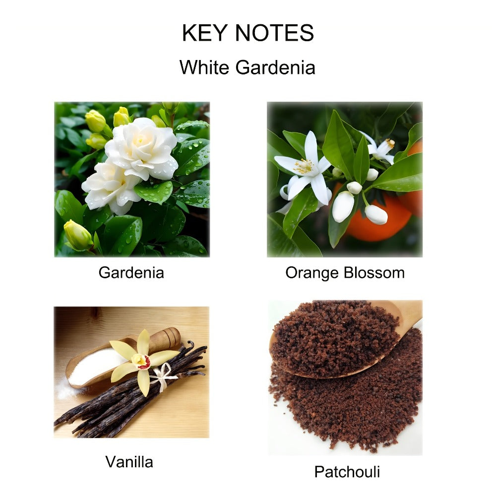 Reed Diffuser Set with Dried Flowers ¨C Jasmine, Cedar, Sandalwood & Gardenia Scents, 120ml 90-Day Long-Lasting Home Fragrance