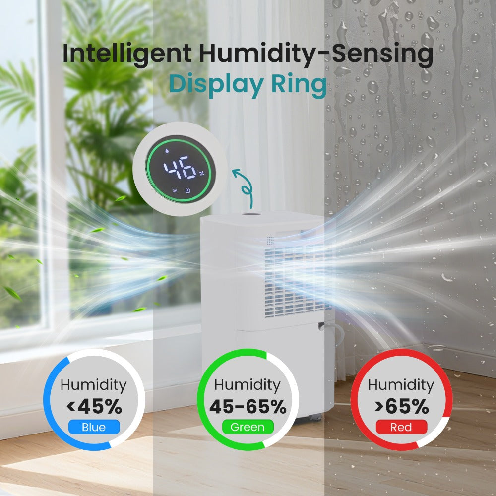 Dehumidifier for Basement 50 Pint 5500 Sq Ft with Drain Hose, Portable Home Dehumidifier for Large Room Bedroom Bathroom, 3 Modes Auto Shut-Off Quiet Fan Washable Filter Humidity Control