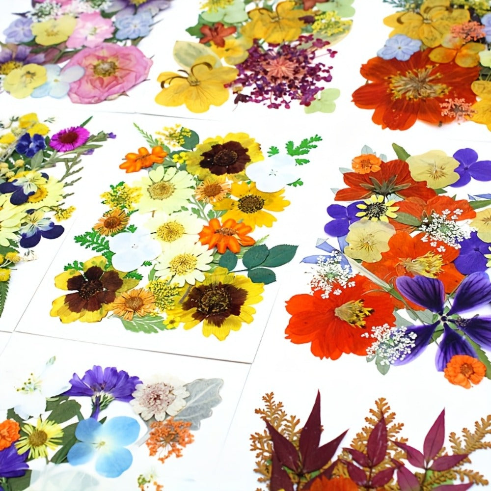 Dried Pressed Flowers Kit 500pcs ¨C Natural Real Flower Petals & Leaves for Resin Art, Nail Art, Jewelry Making, Scrapbooking, Phone Case Decor, Candle Making & DIY Floral Crafts