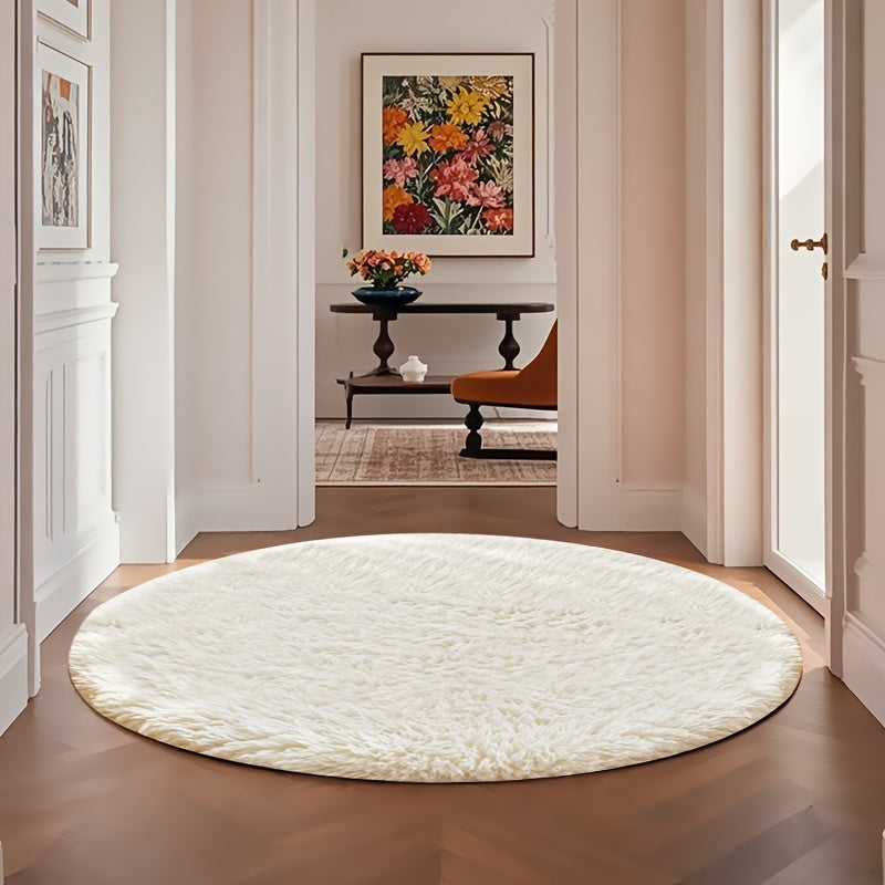 Fluffy Area Rug Large Soft Shag Carpet for Living Room Bedroom ¨C Non-Slip Ultra Thick Plush Floor Mat, Multiple Sizes & Colors, Home Decor
