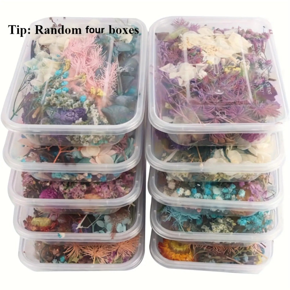 Dried Flowers 4 Boxes Mixed Colors - Natural Dried Floral Set for Candle Making, Resin Jewelry, Greeting Cards, Photo Frames, Scrapbooking & DIY Craft Decoration