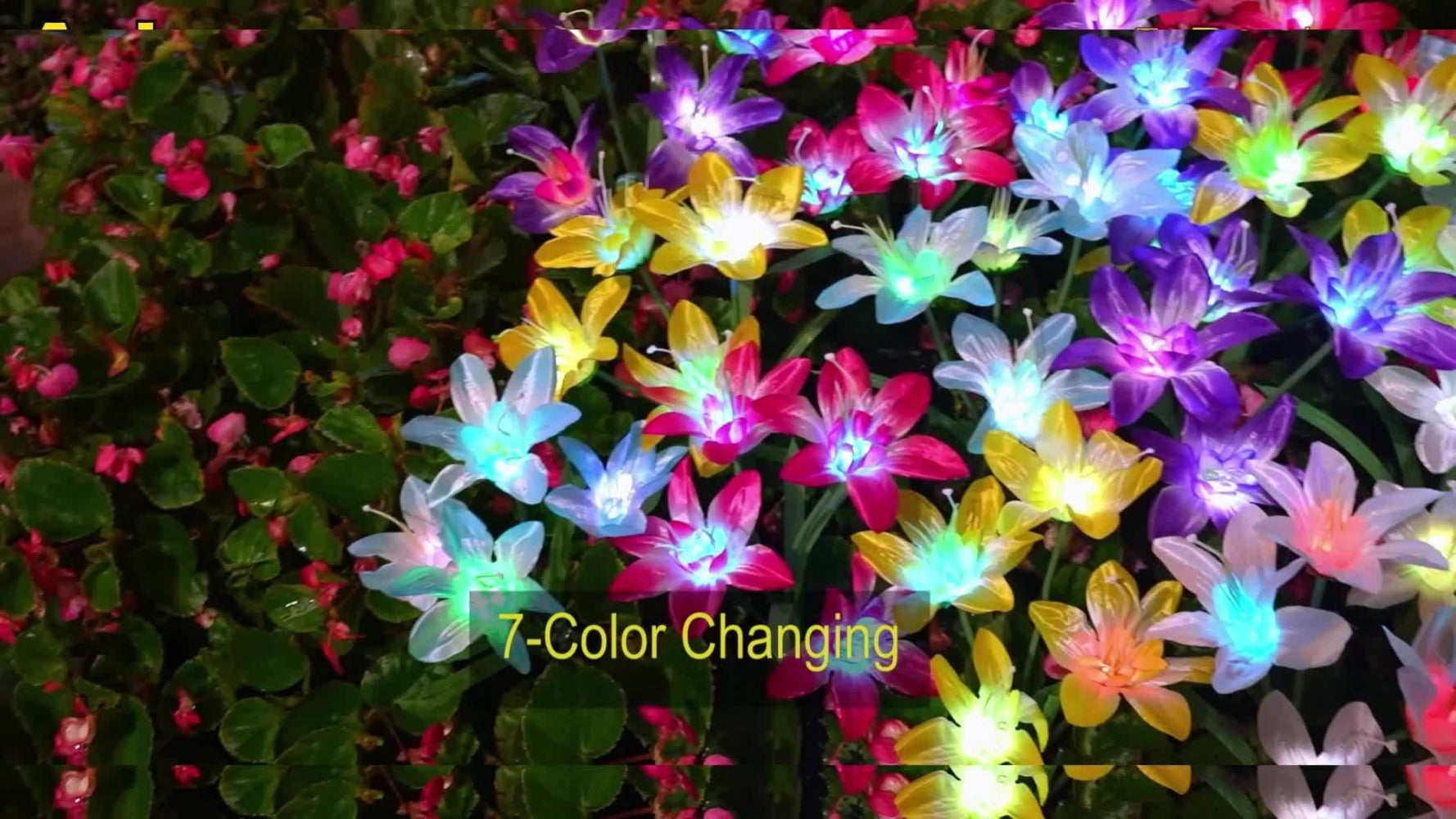 Solar Garden Lights Blooming Lily Flower | 7 Color Changing LED | Waterproof Outdoor Solar Stake Lights | Yard Patio Pathway Gravestone Decor | 2 4 12 Pack Solar Flower Lights