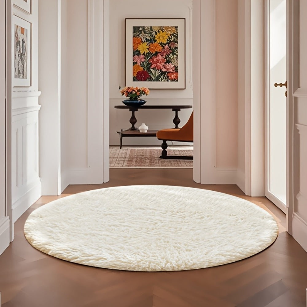 Fluffy Area Rug Large Soft Shag Carpet for Living Room Bedroom ¨C Non-Slip Ultra Thick Plush Floor Mat, Multiple Sizes & Colors, Home Decor