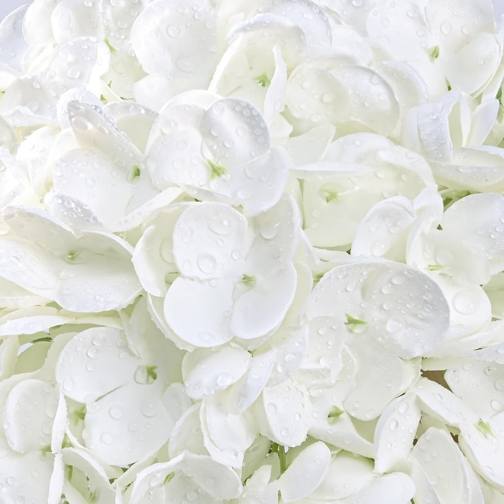 Real Touch Hydrangea Artificial Flowers 4/8pcs 21 Inch Full Latex Faux Hydrangea Stems for Wedding Table Centerpiece, Party Floral Arrangements, Home Vase Decor
