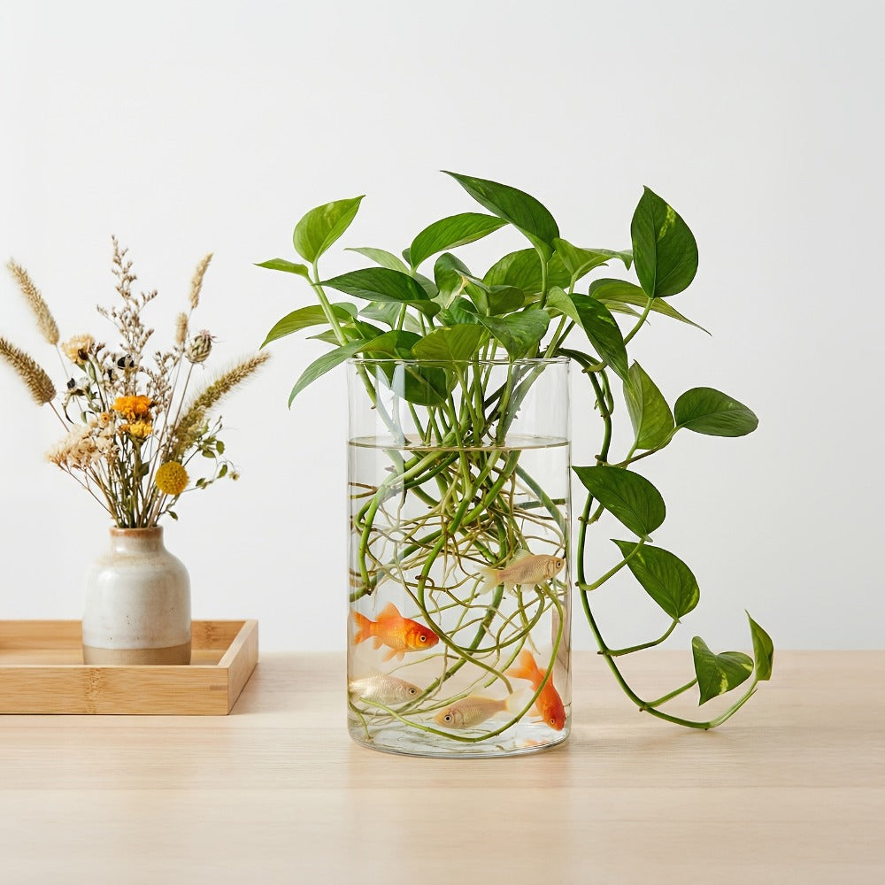 Glass Cylinder Vases for Centerpieces Bulk 12/24pcs ¨C Clear Flower Vases for Wedding Decorations, Floral Arrangements, Home, Restaurant & Party Table Decor, 6x3.4in