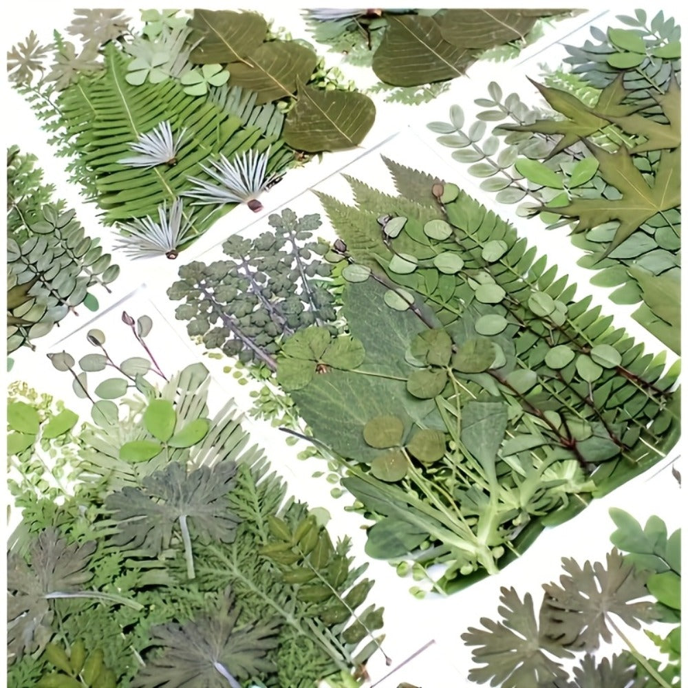 Dried Flower Material Pack 120pcs, Real Pressed Dried Flowers and Leaves for DIY Resin Phone Case Coaster Photo Frame Bookmark Greeting Card Candle Making Jewelry Craft Supplies