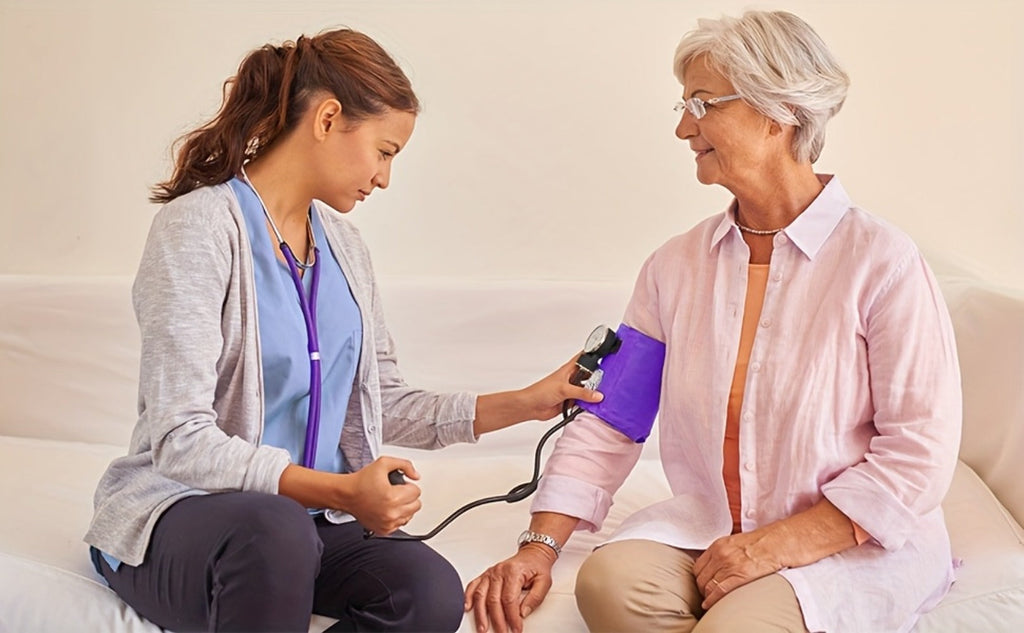 Aneroid Sphygmomanometer & Stethoscope 2-in-1 Set - Manual Blood Pressure Monitor with Nylon Cuff, Fixing Clip, Stethoscope, Portable Case & Accessories, Emergency BP Kit for Medical & Home Use