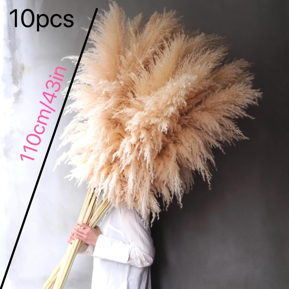 Pampas Grass Decor 10 Stalks 45 Inch Tall Natural Dried Fluffy Plumes for Floor Vase, Living Room, Boho Wall Decor & High-End Home Decoration