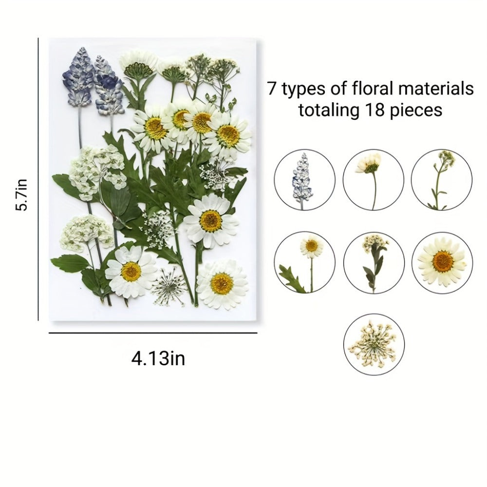 Dried Flower Set for Crafts ¨C Real Pressed Flowers for Resin, Scrapbooking, Epoxy Jewelry, Bookmarks, Wedding Cards & Art Decoration, 189 / 238 / 287 / 319 Pieces Mixed Variety Pack