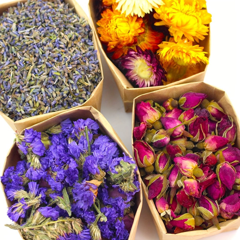 Dried Flowers Craft Set 24 Packs Natural Dried Botanicals for Resin Jewelry Making DIY Candle Soap Scrapbook Seasonal Decor Roses Lavender Jasmine Peony Forget-Me-Not Mixed Flower Kit