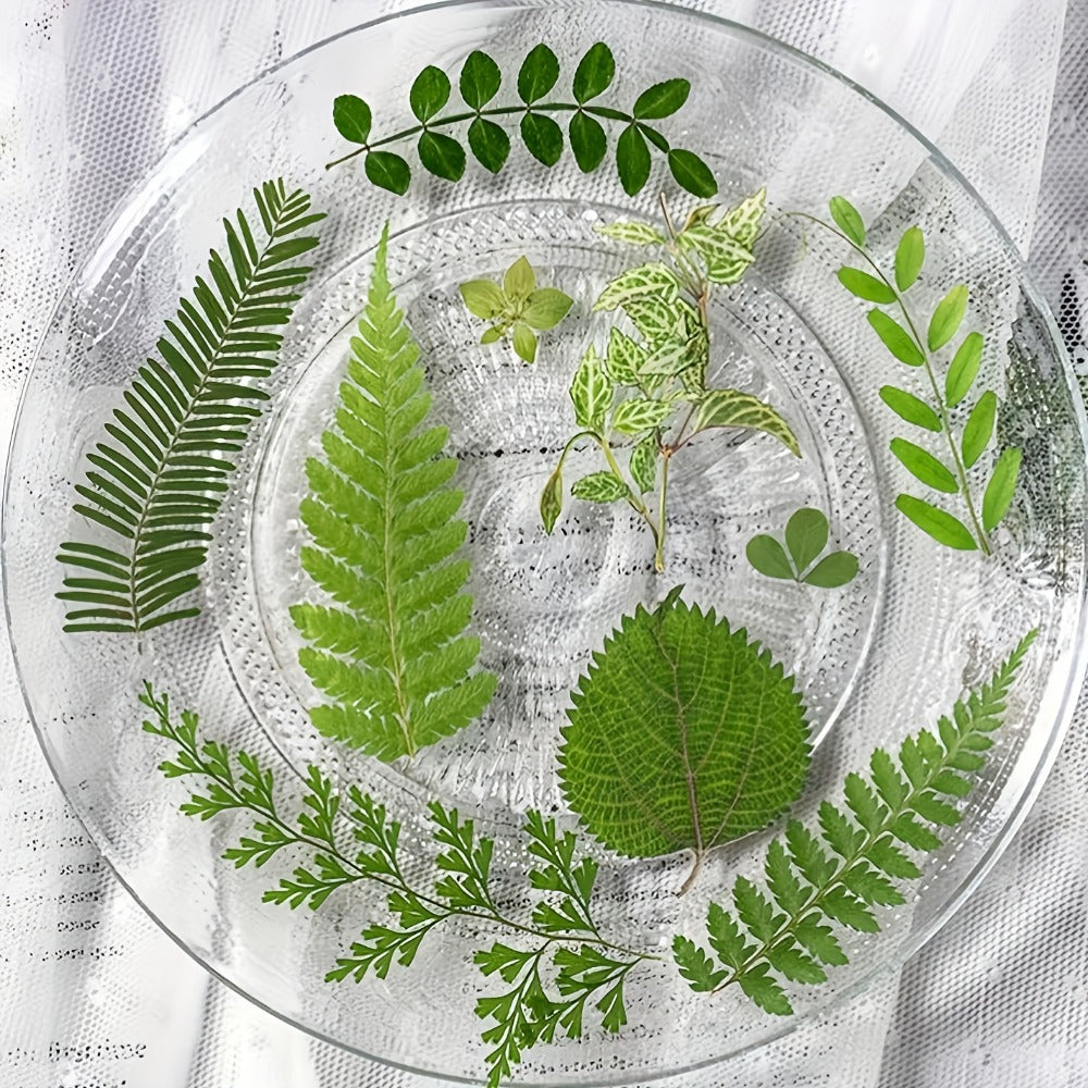 Dried Flower Material Pack 120pcs, Real Pressed Dried Flowers and Leaves for DIY Resin Phone Case Coaster Photo Frame Bookmark Greeting Card Candle Making Jewelry Craft Supplies