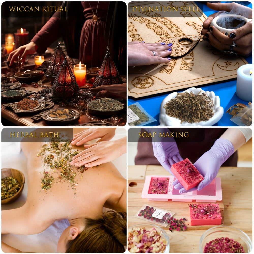 Dried Herbs & Flowers Magic Supplies Kit 40 Pack ¨C Witch Starter Set for Rituals, Spells, Candle & Soap Making, Pagan Altar, Halloween & Christmas Gift, Party Favors, Home Decor