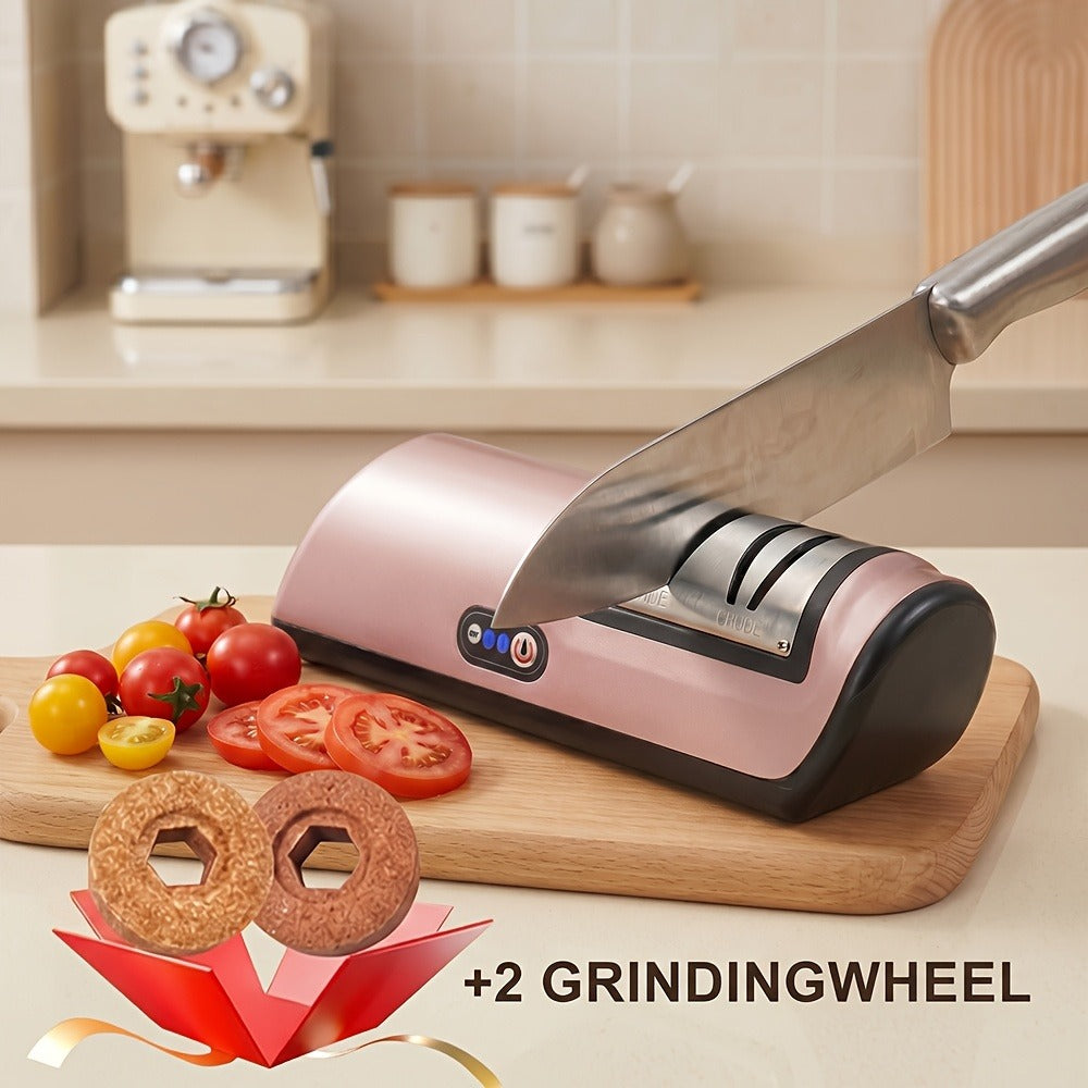 Electric Knife Sharpener 2-Stage ¨C Automatic Professional Kitchen Knife Sharpener with Built-In Guides & Sanding Wheel for All Knives, Santoku, Fillet, Chef & Hunting Blades