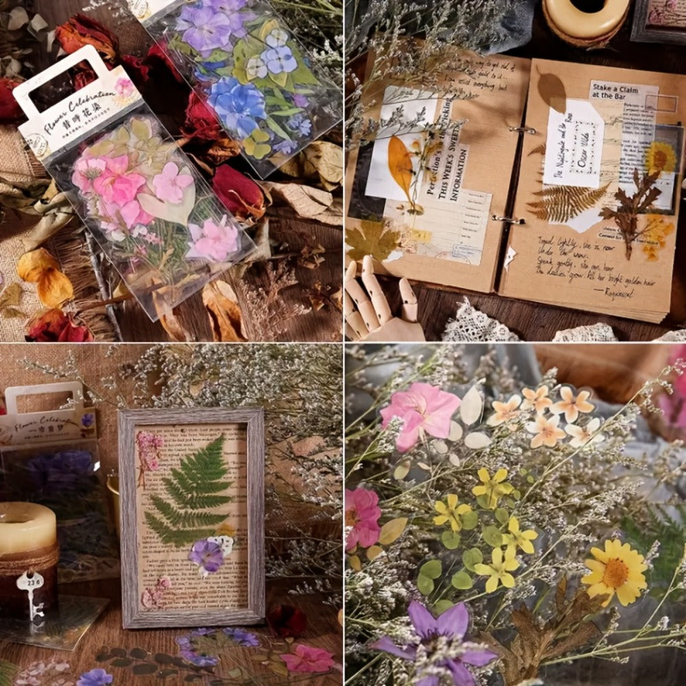 Dried Flower Set for Crafts ¨C Real Pressed Flowers for Resin, Scrapbooking, Epoxy Jewelry, Bookmarks, Wedding Cards & Art Decoration, 189 / 238 / 287 / 319 Pieces Mixed Variety Pack