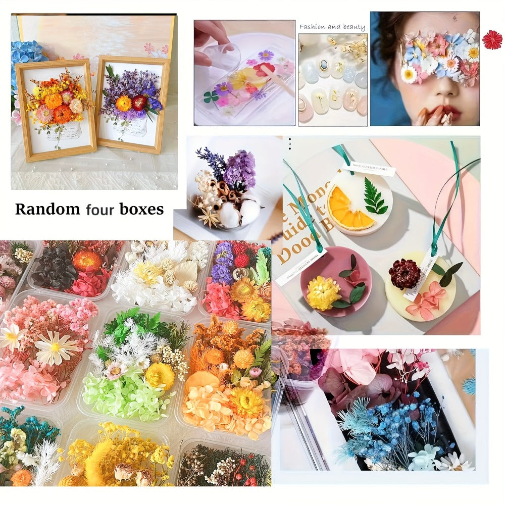 Dried Flowers 4 Boxes Mixed Colors - Natural Dried Floral Set for Candle Making, Resin Jewelry, Greeting Cards, Photo Frames, Scrapbooking & DIY Craft Decoration