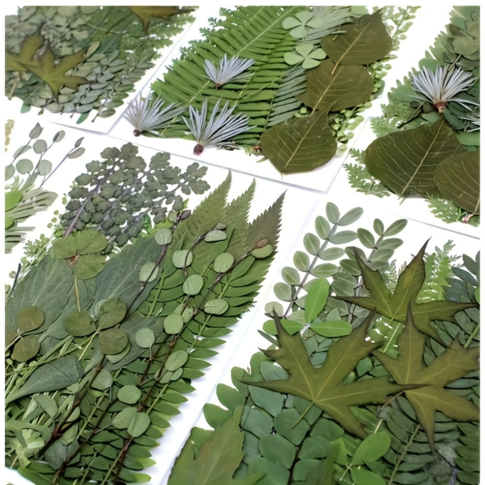 Dried Flower Material Pack 120pcs, Real Pressed Dried Flowers and Leaves for DIY Resin Phone Case Coaster Photo Frame Bookmark Greeting Card Candle Making Jewelry Craft Supplies