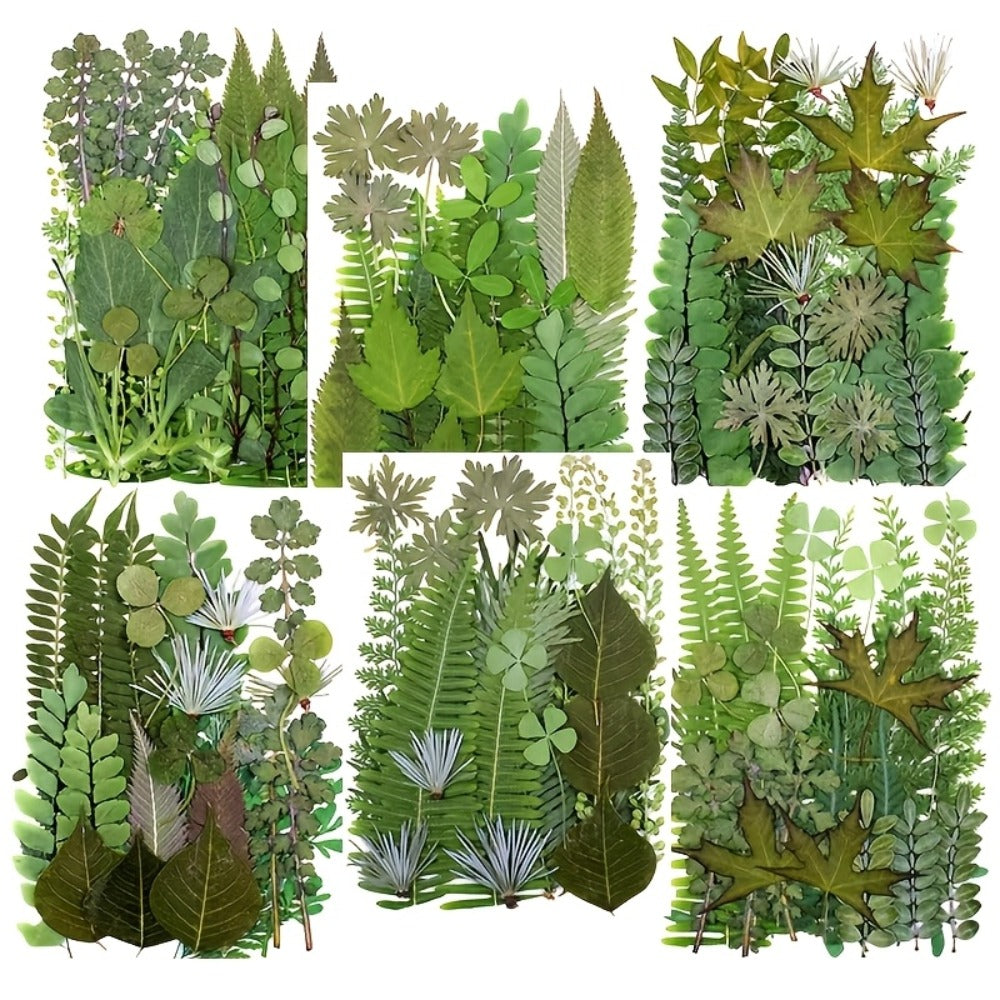 Dried Flower Material Pack 120pcs, Real Pressed Dried Flowers and Leaves for DIY Resin Phone Case Coaster Photo Frame Bookmark Greeting Card Candle Making Jewelry Craft Supplies