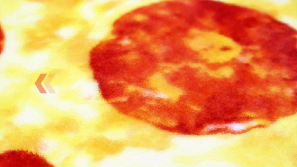 Food Print Flannel Throw Blanket - Funny Pizza Donut Pancakes Digital Print 250GSM Soft Cozy Lightweight All-Season Foodie Throw for Couch Sofa Bed Office Camping Travel