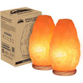 Himalayan Salt Lamp Set of 2 ¨C 4-7 lbs Natural Pink Crystal Salt Lamps with Neem Wood Base & USB Dimmer Switch, Warm Soothing Glow for Bedroom Relaxation Yoga Meditation Home Decor