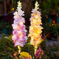 Solar Garden Lights Outdoor - 2 Pack 27 Inch Delphinium Flower Stake Lights with 36 LEDs & 600mAh Battery | Waterproof Solar Yard Lights for Patio, Lawn & Garden Decor | Mother's Day Gift