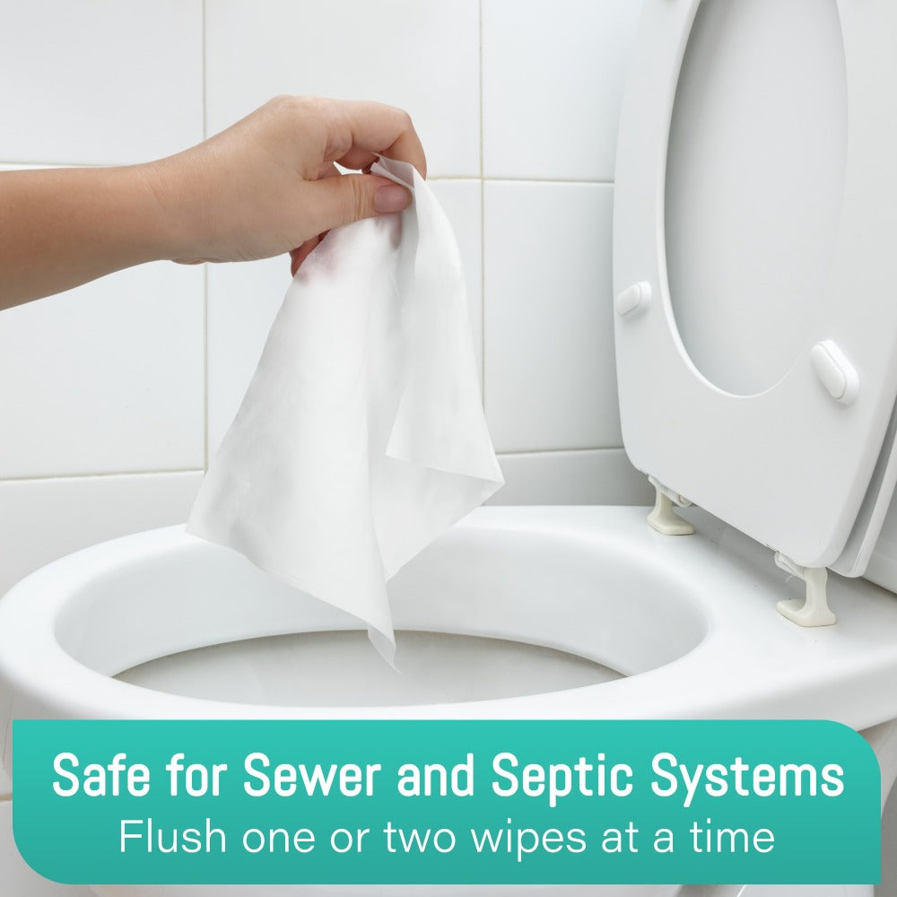 Flushable Wet Wipes Extra Large Thickened 48ct ¨C Alcohol-Free Plant-Based Butt Wipes, Septic Safe, Quick-Dispersing for Baby Sensitive Skin, Feminine & Personal Care ¨C Pack of 3 or 6