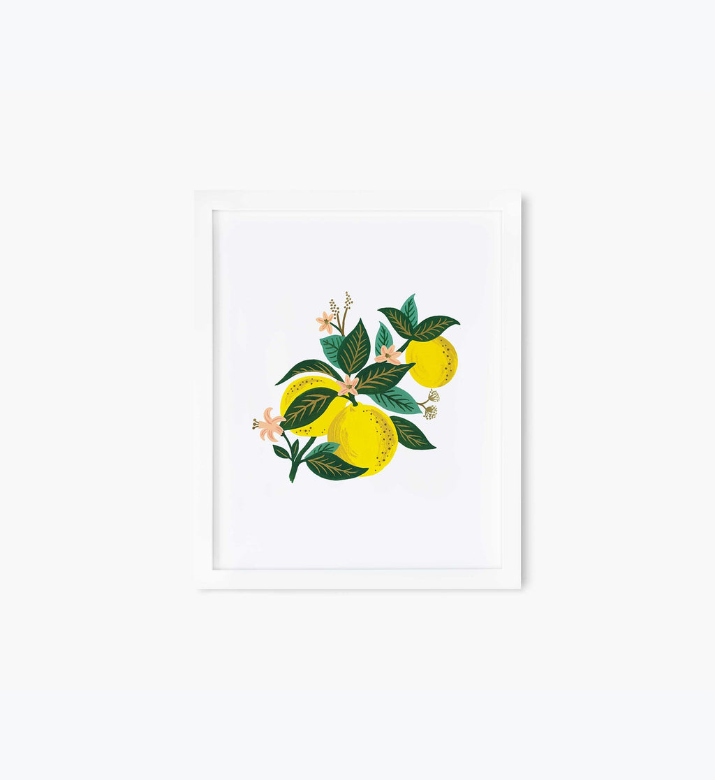 Lemon Blossom Art Print