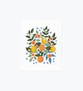 Citrus Grove Cluster Art Print
