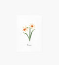 Birth Month Art Print - December