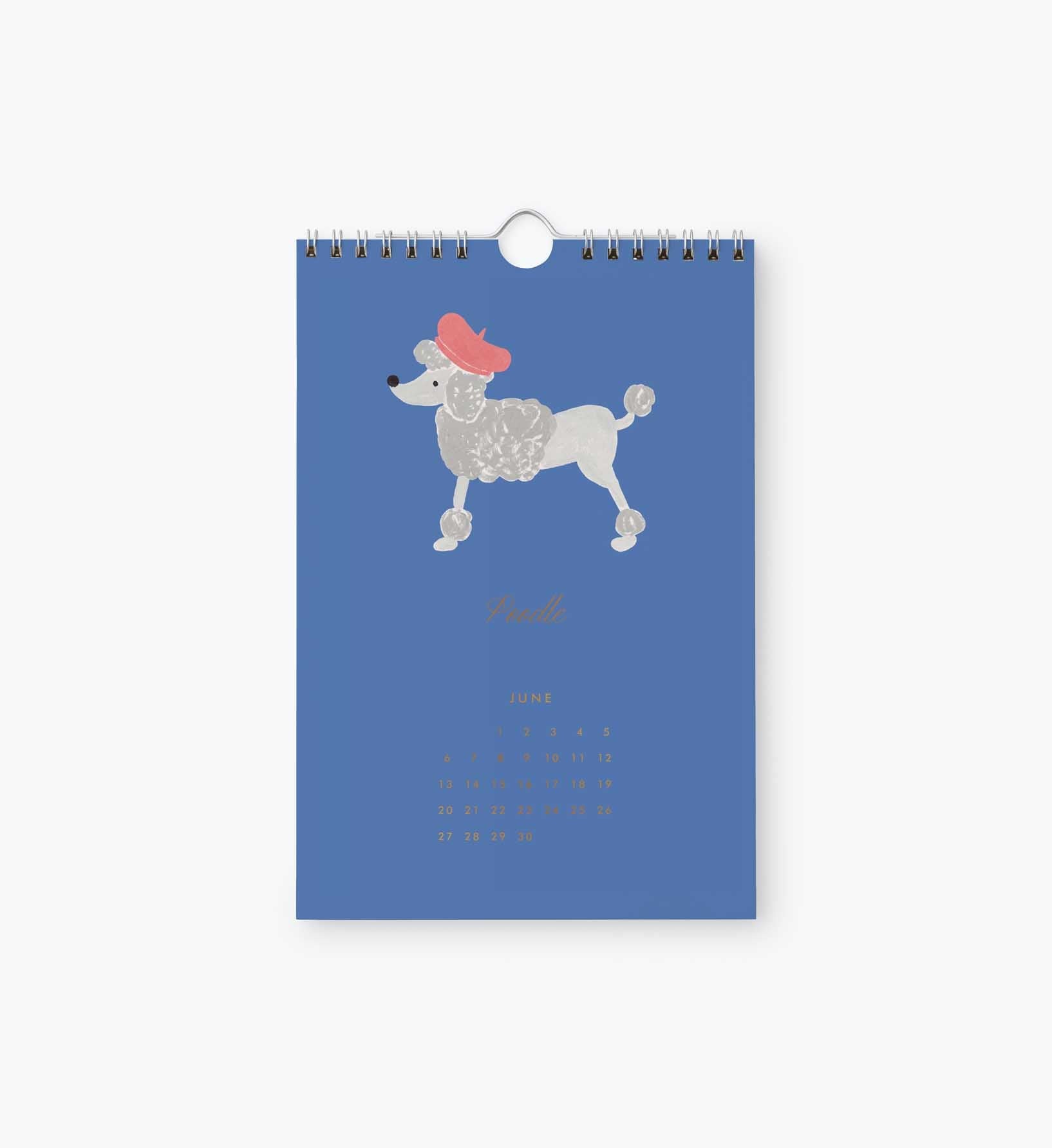 2027 Kitchen Calendar - Dog of the Month