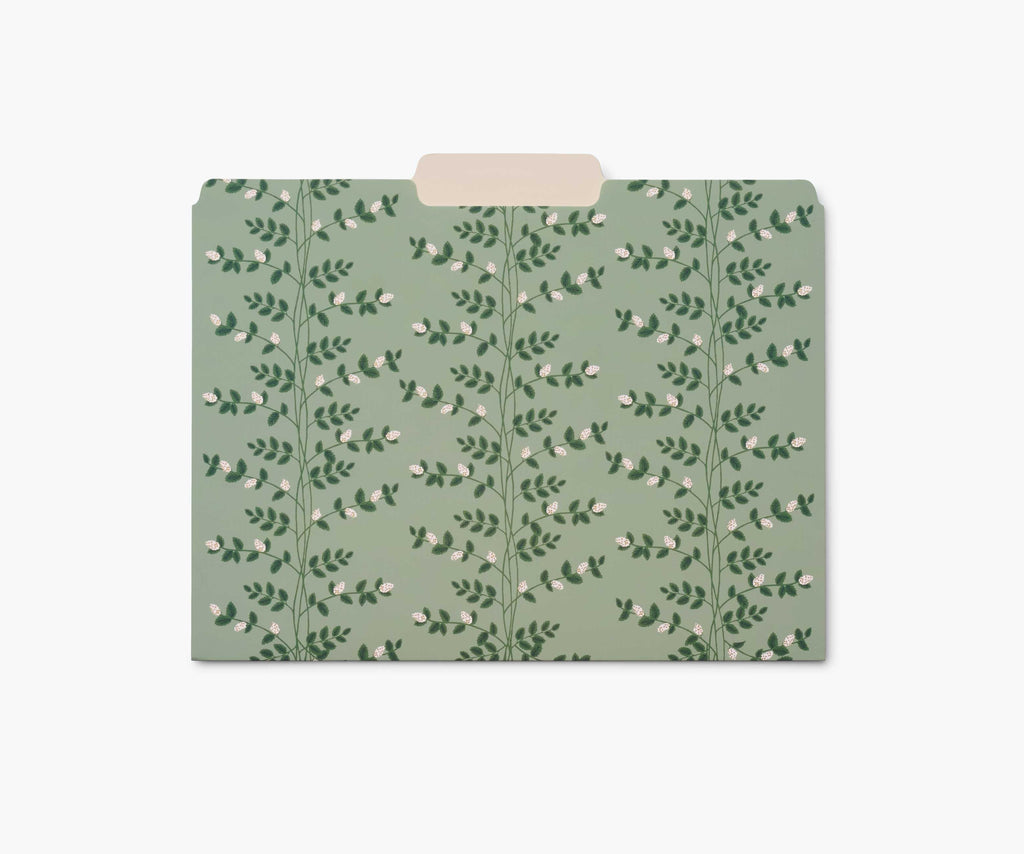 Assorted File Folders - Dahlia