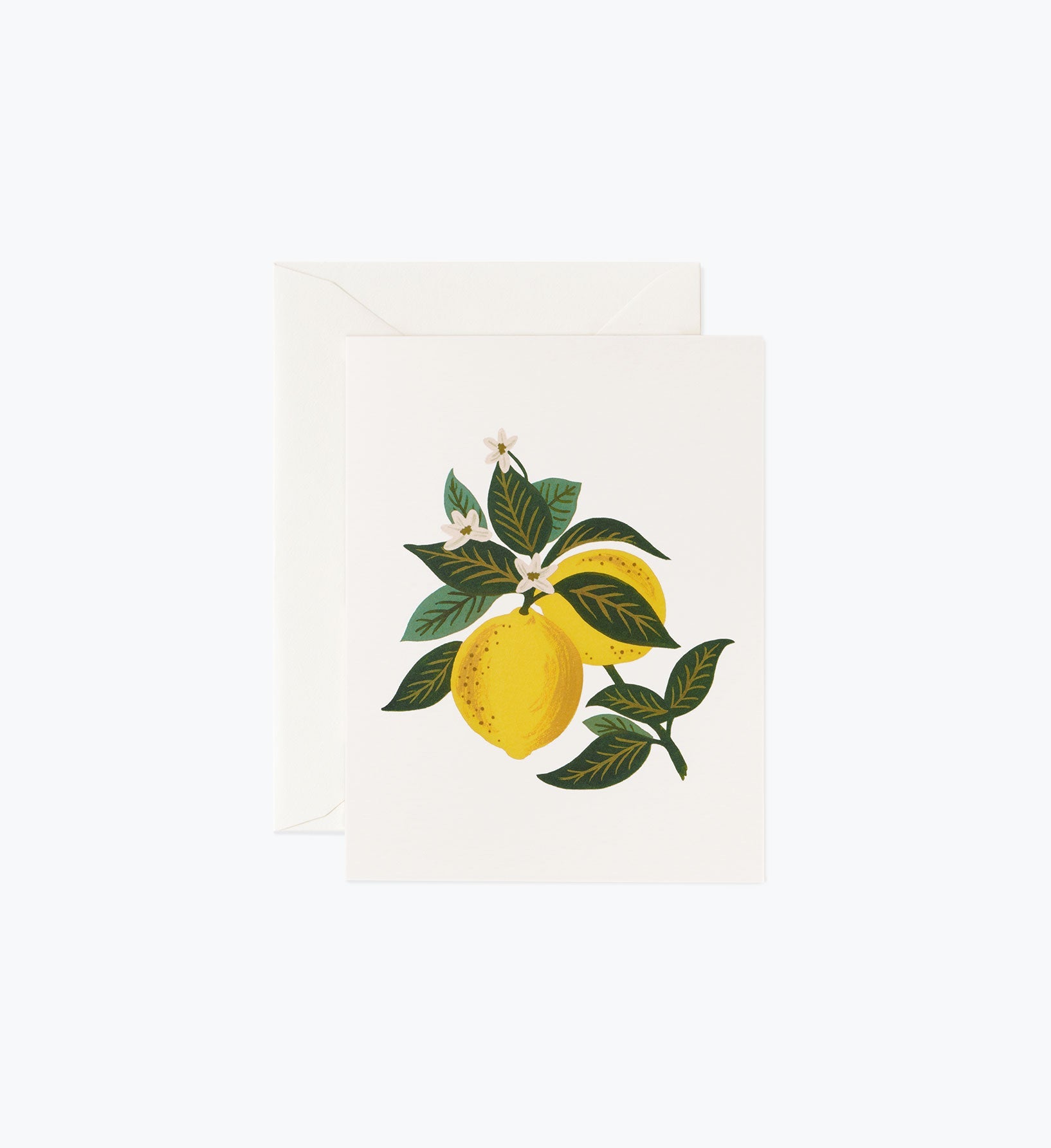 Lemon Blossom Everyday Card - Single Card