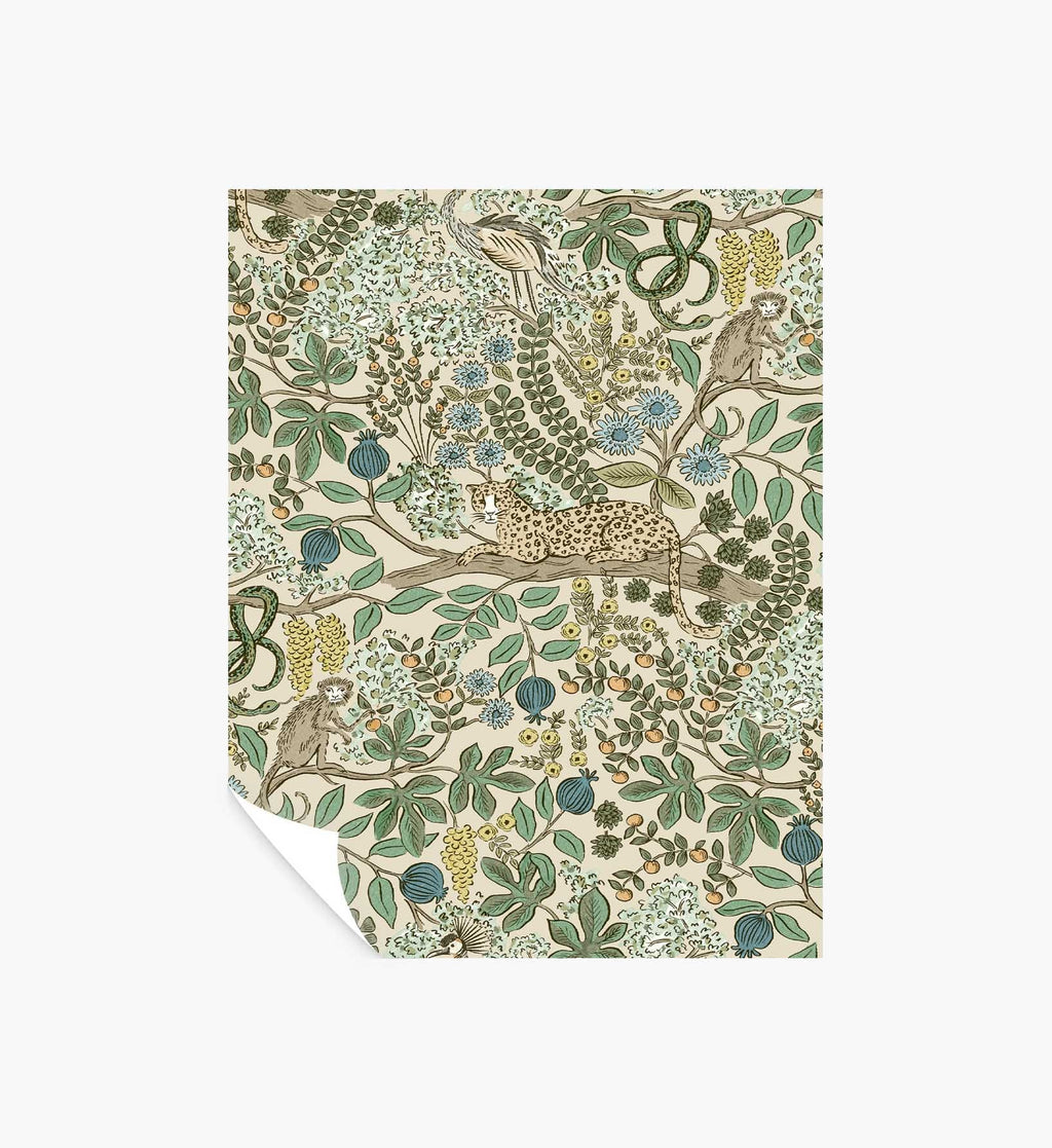 Safari Peel & Stick Wallpaper Sample - Cream