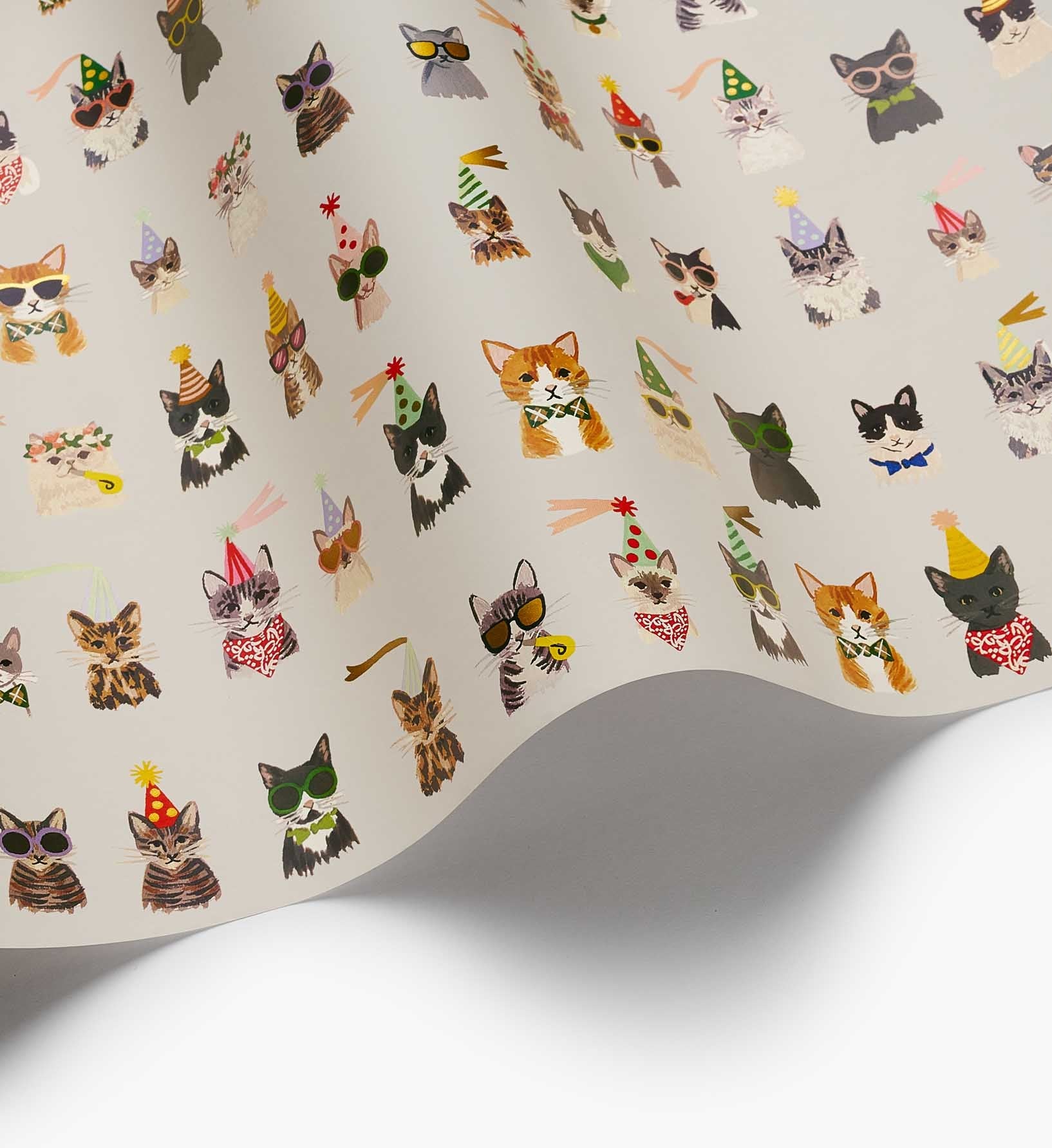 Wrapping Roll - Party Cats