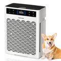 HEPA Air Purifier for Large Rooms Up to 3000 Sq Ft ¨C True HEPA Filter, Activated Carbon, Double-Sided Intake, Removes Dust, Pet Dander, Smoke & Odors, Sleep Mode 22dB, Aromatherapy, 19Hr Timer